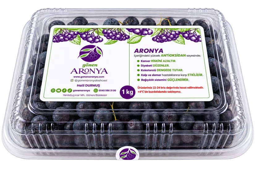 Aronya Meyvesi